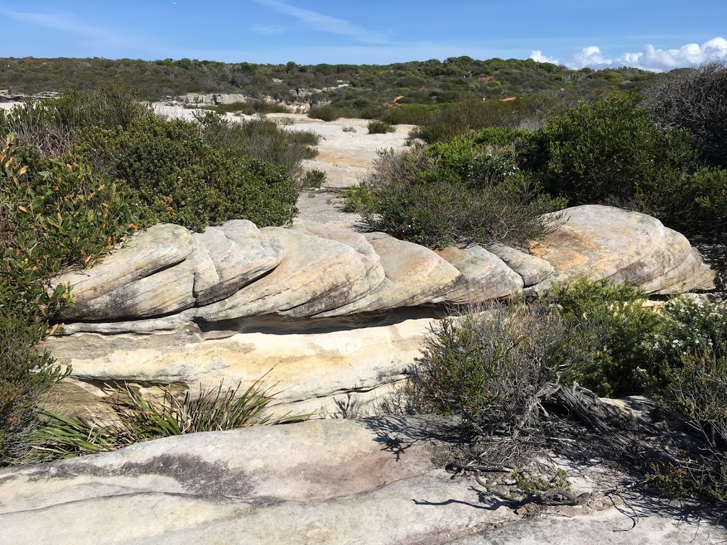 Malabar Headland National Park | park | Malabar NSW 2036, Australia | 0293375511 OR +61 2 9337 5511