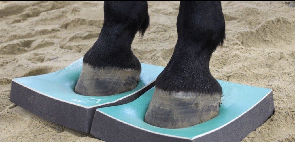 SURE FOOT Pads Australasia | Woods Cl, Murrumbateman NSW 2582, Australia | Phone: 0490 350 662