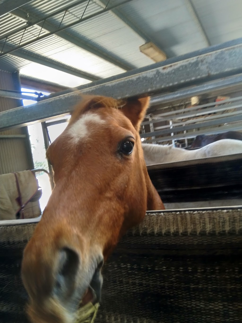 Stromlo Equestrian Centre | 912 Cotter Rd, Canberra ACT 2611, Australia | Phone: (02) 6288 1600