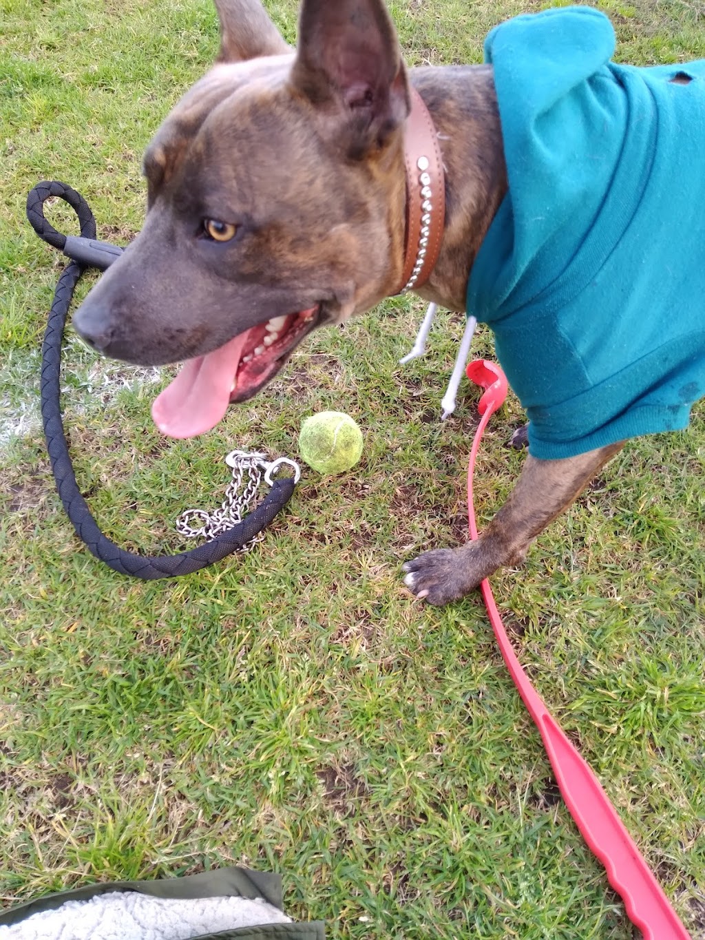 Eastern Road Oval | Killarney Vale NSW 2261, Australia | Phone: (02) 4350 5555