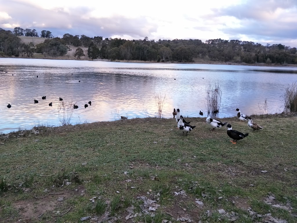 Lake Canobolas Reserve | park | 87 Lake Canobolas Rd, Nashdale NSW 2800, Australia
