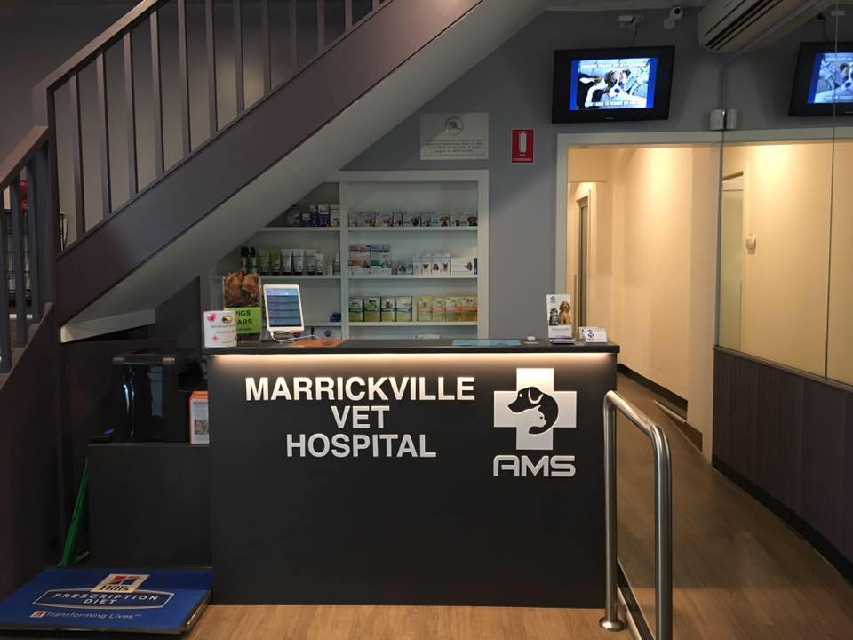 Marrickville Vet Hospital AMS | 402 Illawarra Rd, Marrickville NSW 2204, Australia | Phone: (02) 9558 2500