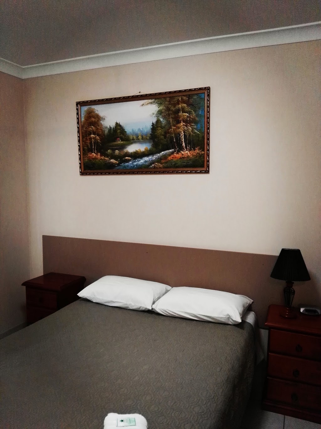Molika Springs Motel | lodging | 314 Warialda St, Moree NSW 2400, Australia | 0267527066 OR +61 2 6752 7066