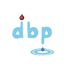 Drummoyne Bay Plumbing Services | plumber | 64 Barnstaple Rd, Rodd Point NSW 2046, Australia | 0297138513 OR +61 2 9713 8513