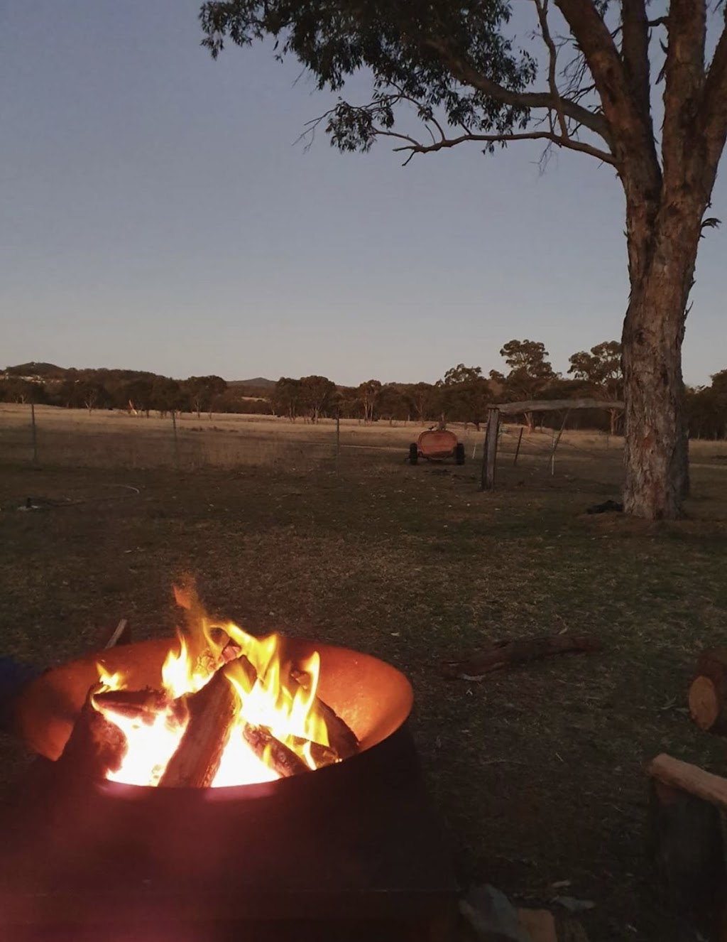 Severn River Farm Stay | 81 Petrie Crossing Rd, Broadwater QLD 4380, Australia | Phone: 0407 473 729