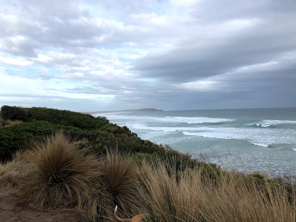 Special Shorebirds Conservation Area Phillip Islands | Surf Beach VIC 3922, Australia