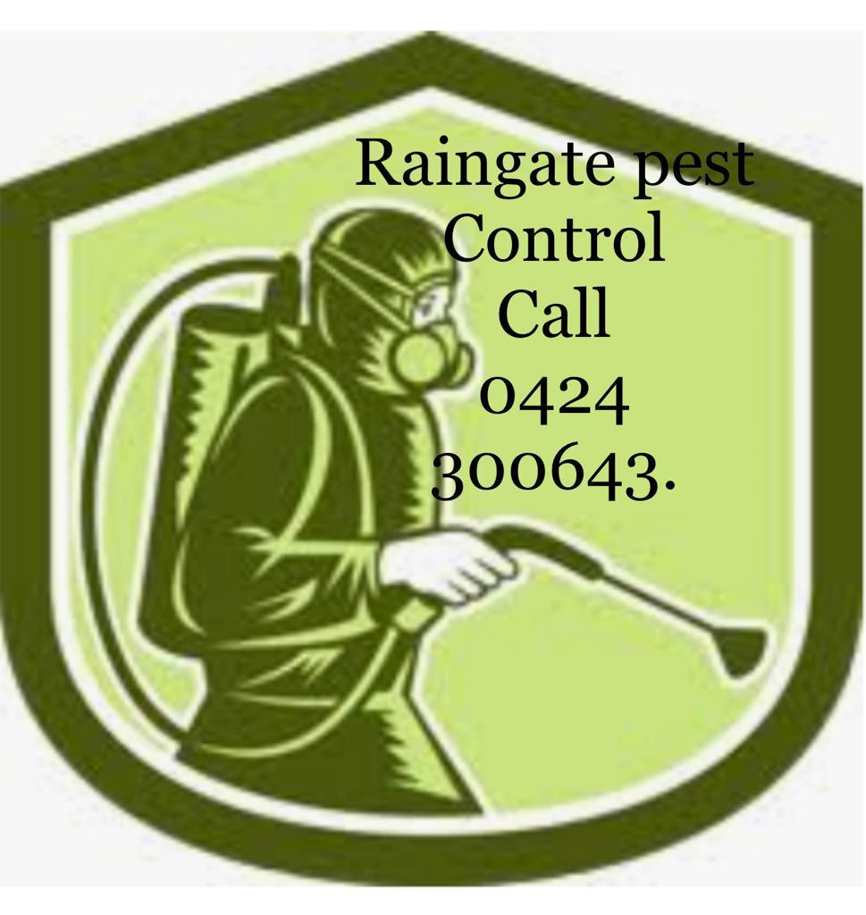 Raingate Pest Control & cleaning services |  | 23 Phoenix Ave, Beaumont Hills NSW 2155, Australia | 0434555709 OR +61 434 555 709