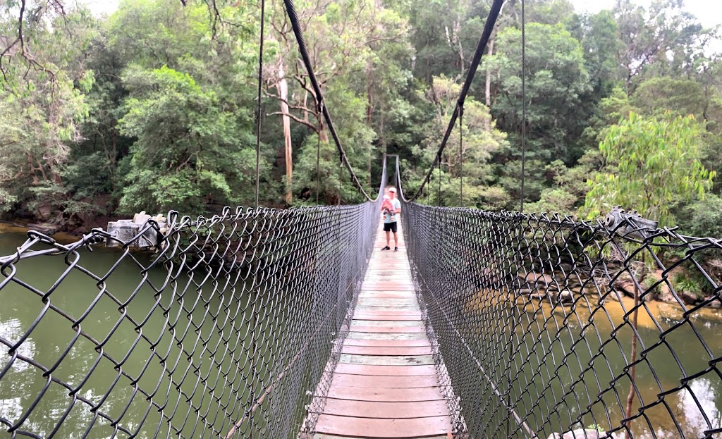 Piles Creek Loop Track | tourist attraction | Girrakool Rd, Somersby NSW 2250, Australia | 0243204200 OR +61 2 4320 4200