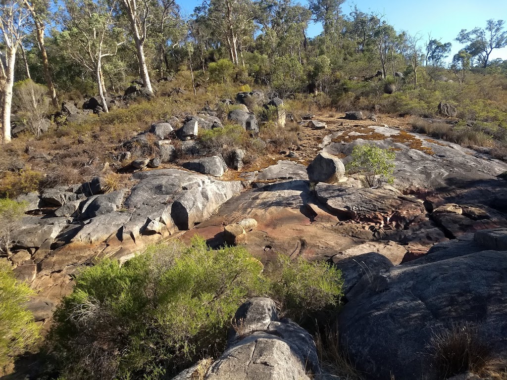 Berry Reserve | Gidgegannup WA 6083, Australia