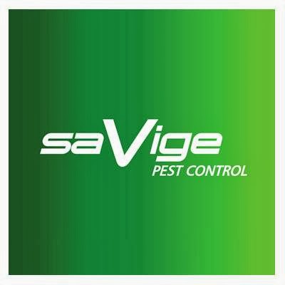 Savige Pest Control | home goods store | 134 Briggs Rd, Ipswich QLD 4305, Australia | 0732812800 OR +61 7 3281 2800