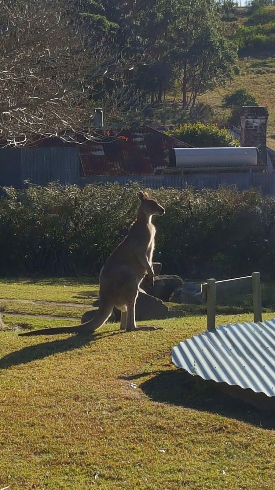 Bingie Corner Holiday House | lodging | 505 Bingie Rd, Bingie NSW 2537, Australia | 0401673329 OR +61 401 673 329