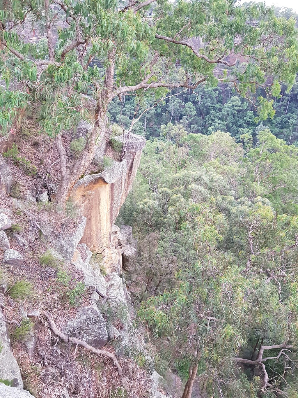 Mount Portal Lookout | tourist attraction | Blue Labyrinth NSW 2782, Australia | 0245882400 OR +61 2 4588 2400