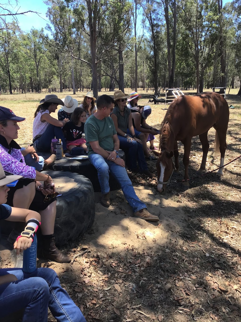 Northern rivers equine assisted confidence coaching | 140 Hogarth Range Rd, Mongogarie NSW 2470, Australia | Phone: 0427 282 303