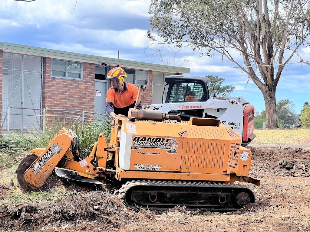 Als Tree Service | 4 Mandina Pl, Bradfield NSW 2556, Australia | Phone: 0451 664 665