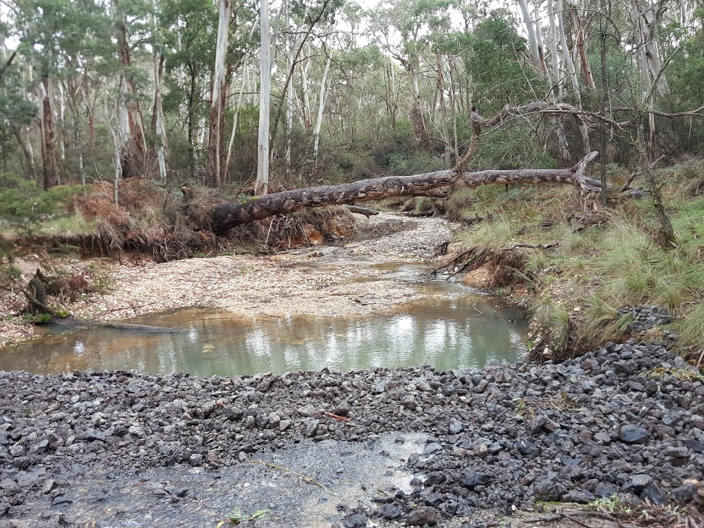 Slaty Creek Campground 1 | campground | Petticoat Link Track, Cabbage Tree VIC 3889, Australia