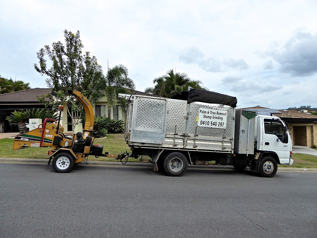 Gold Coast Palm Man | 48 Ashford Rd, Helensvale QLD 4210, Australia | Phone: 0410 540 297