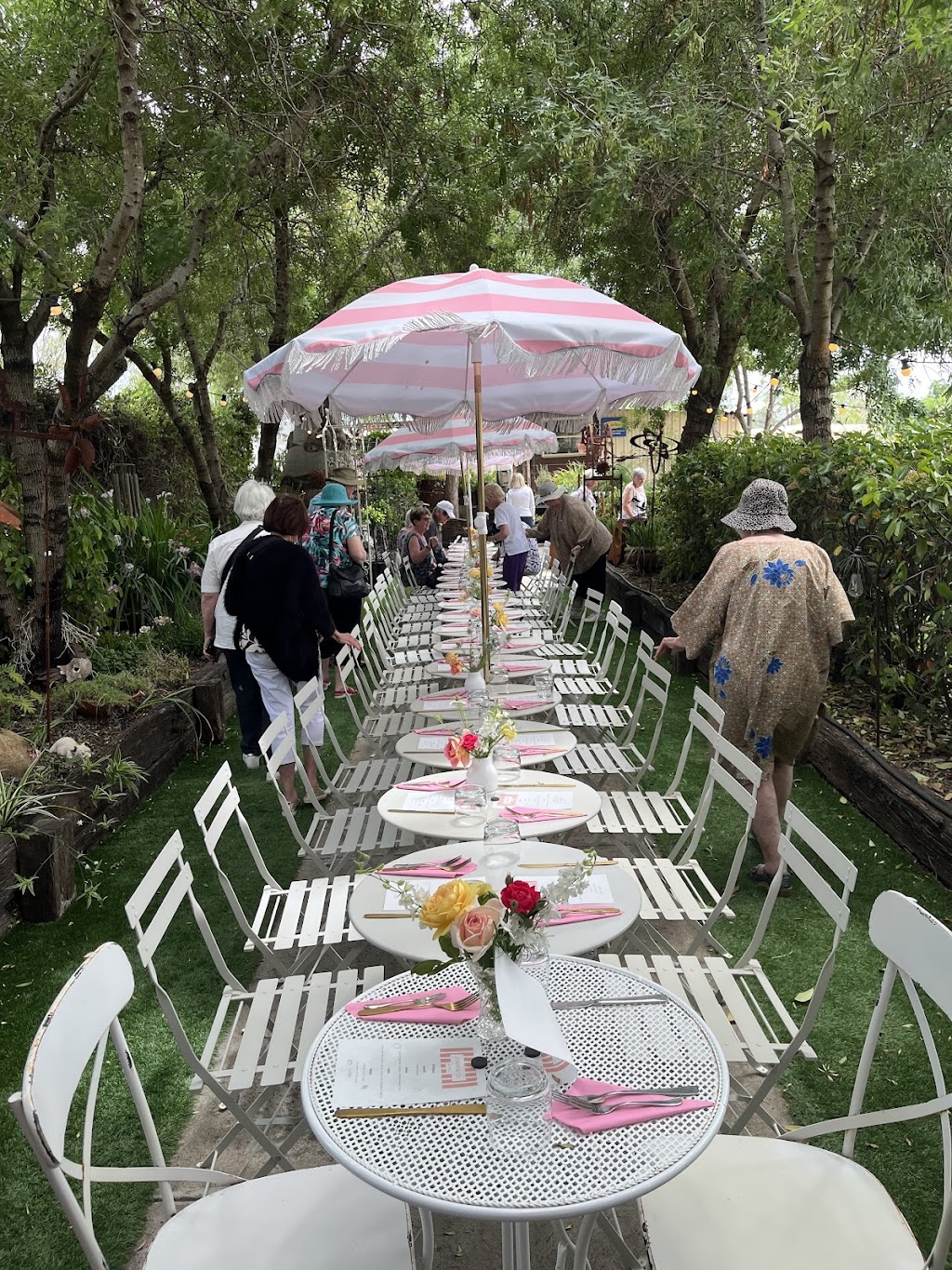 Kimmi & Co Teahouse | 210 Maitland St, Narrabri NSW 2390, Australia | Phone: 0427 924 132