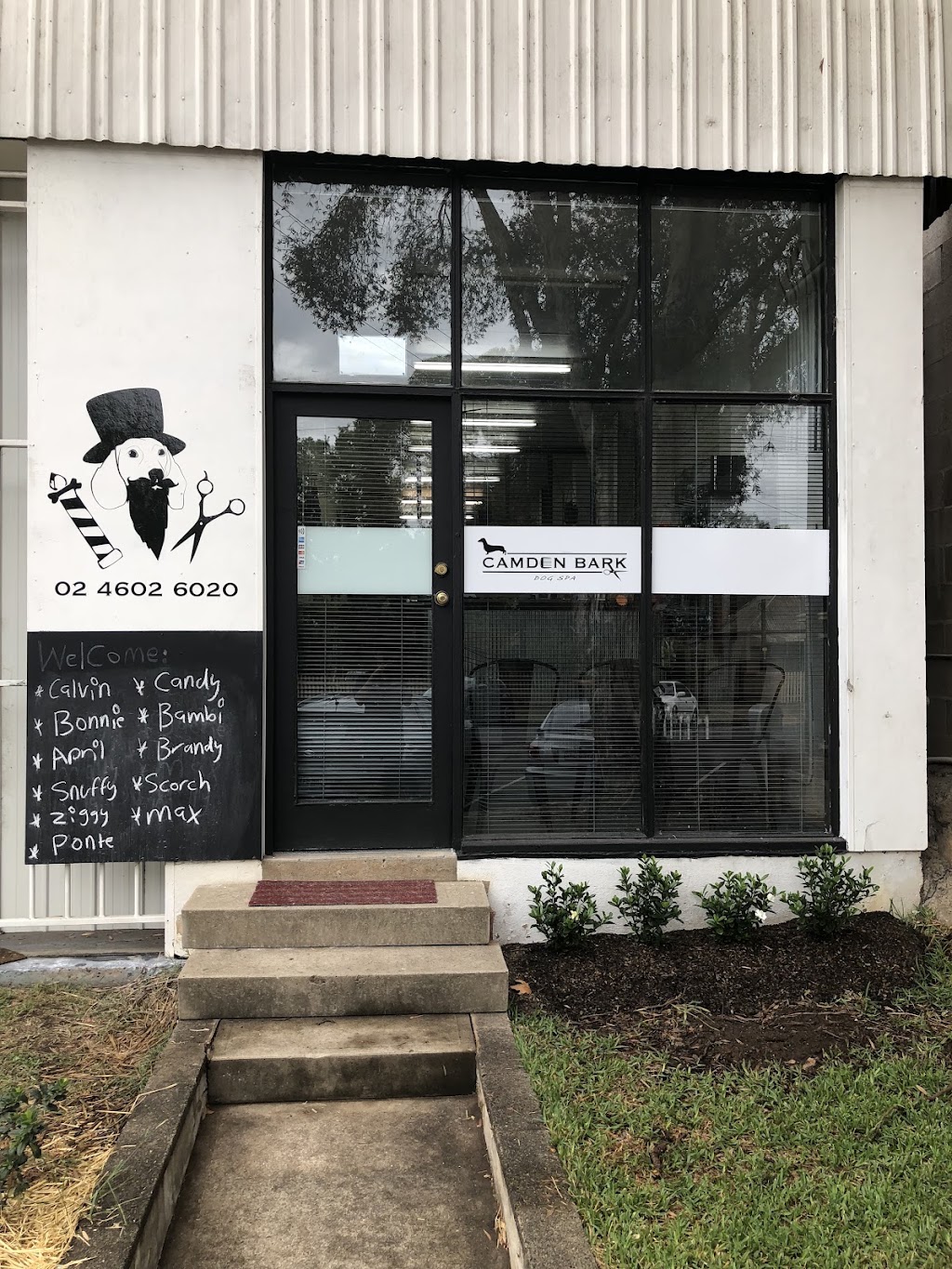 Camden bark dog spa | 14 Mitchell St, Camden NSW 2570, Australia | Phone: (02) 4602 6020
