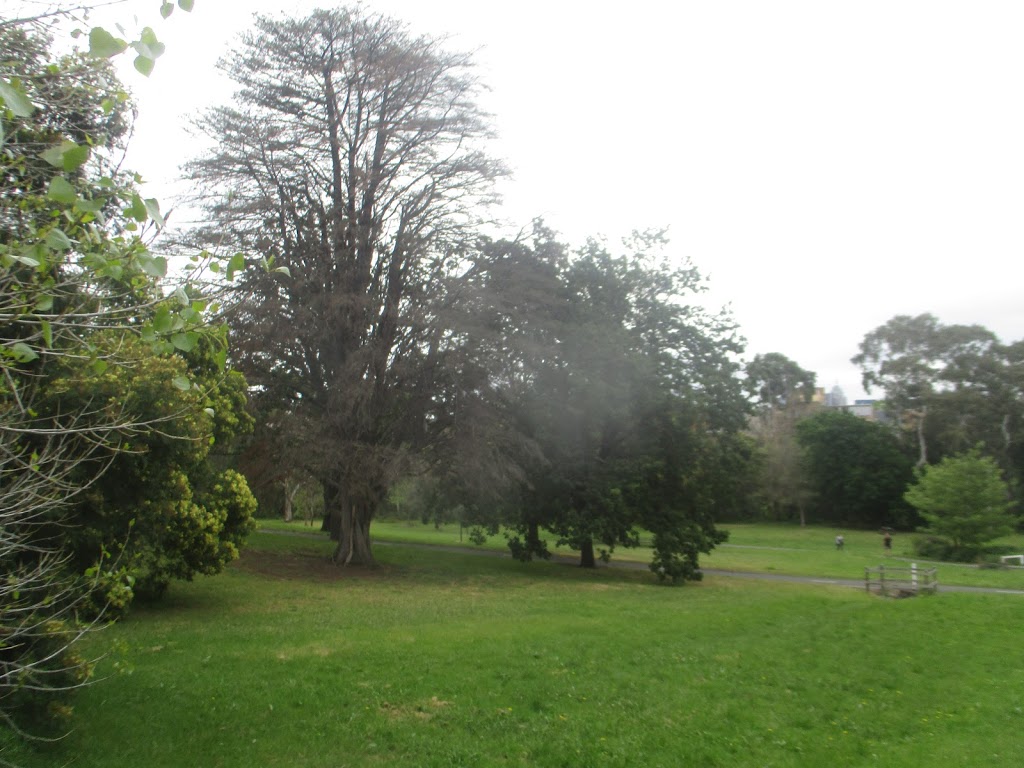 Andrews Reserve | park | Unnamed Road, Kew VIC 3101, Australia