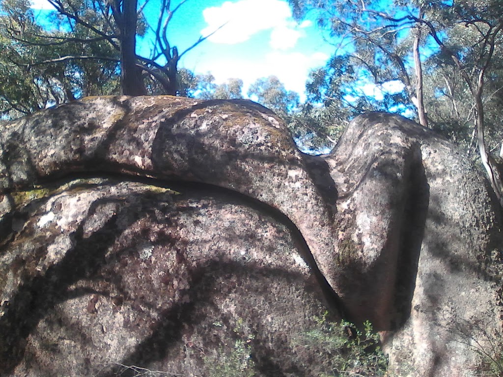Mount Buangor State Park | park | Ferntree Gully Rd, Raglan VIC 3373, Australia | 131963 OR +61 131963