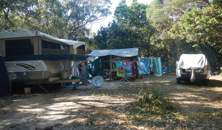 Smoky Cape Campground | Lighthouse Rd, Arakoon NSW 2431, Australia | Phone: (02) 6566 6168