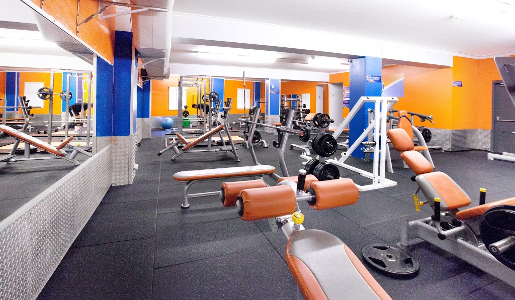 Plus Fitness Gym Manly | 29/33 Pittwater Rd, Manly NSW 2095, Australia | Phone: (02) 9977 6938