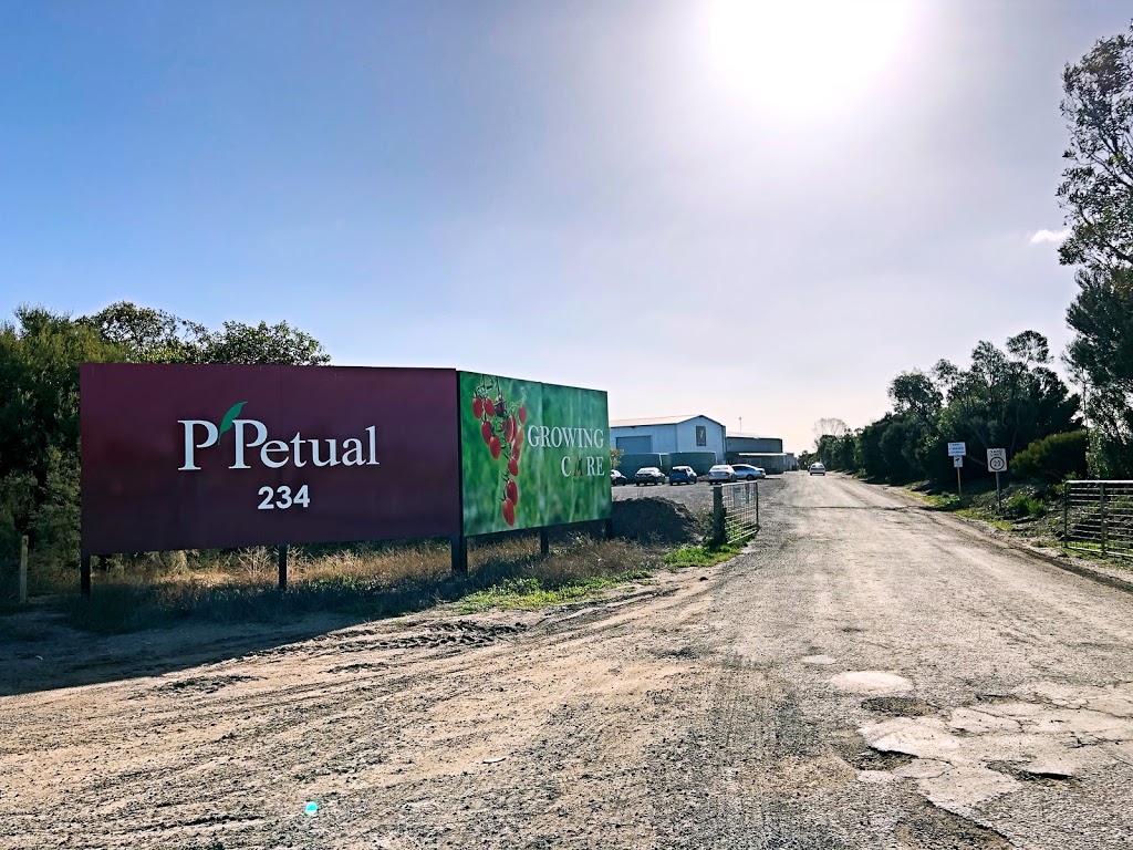 PPetual Holdings | 234 Carmelo Rd, Buckland Park SA 5120, Australia | Phone: (08) 8380 8609