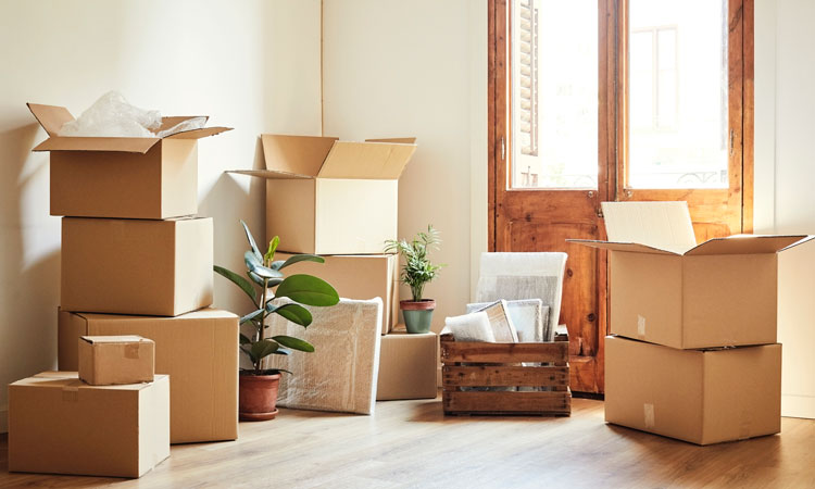 Nerang Qld Removalists | Unit 67/13 Bowden Ct, Nerang QLD 4211, Australia | Phone: 1300 671 428