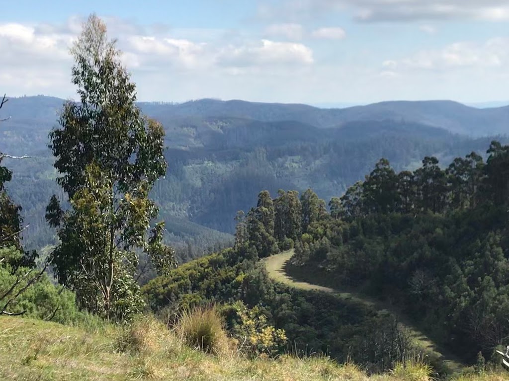 Tarra-Bulga National Park | park | Victoria 3971, Australia | 131963 OR +61 131963