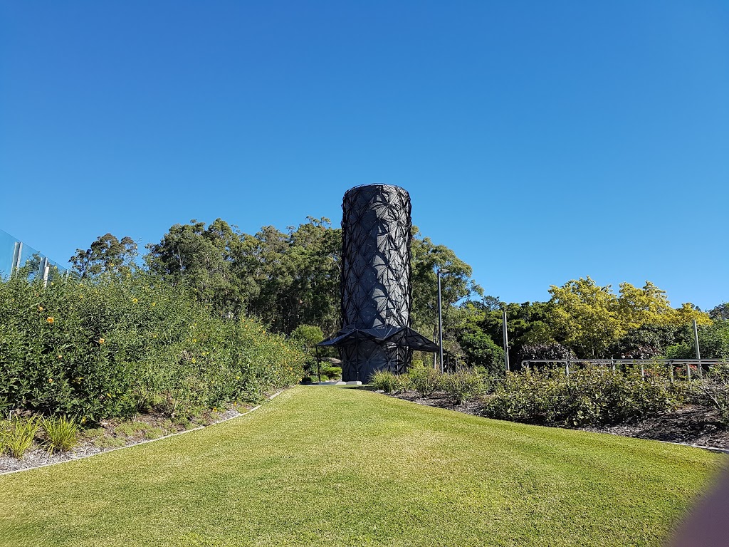 Brisbane Botanic Gardens Mt Coot-tha | park | Mount Coot Tha Rd, Toowong QLD 4066, Australia | 0734038888 OR +61 7 3403 8888