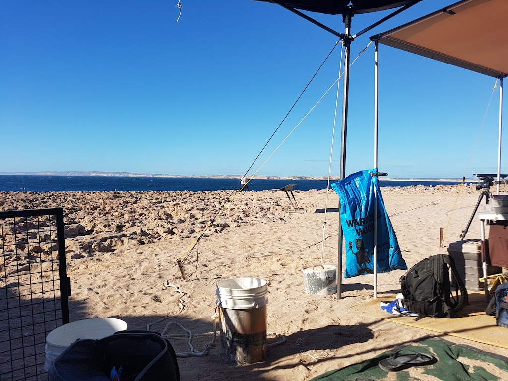 Steep Point campground | Useless Loop Rd, Carrarang WA 6537, Australia | Phone: (08) 9948 2226