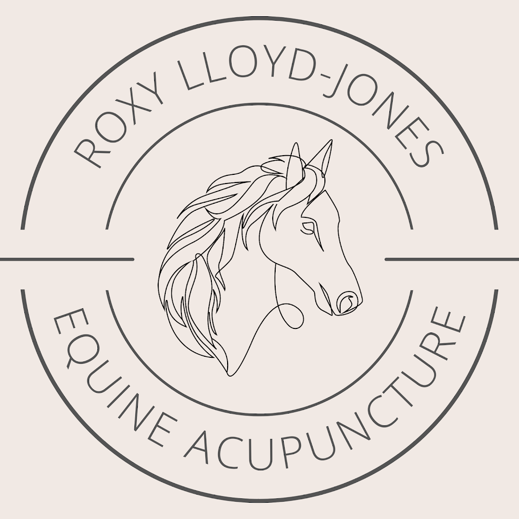 Roxy Lloyd-Jones - Equine Acupuncture | point of interest | 431 Innisplain Rd, Innisplain QLD 4285, Australia | 0427529959 OR +61 427 529 959