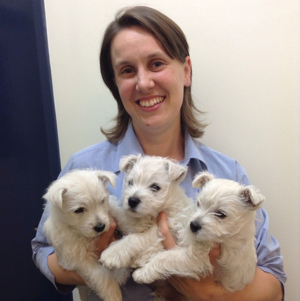 Dr Bronwen Harper | veterinary care | 357 Canterbury Rd, Forest Hill VIC 3131, Australia | 0398731544 OR +61 3 9873 1544