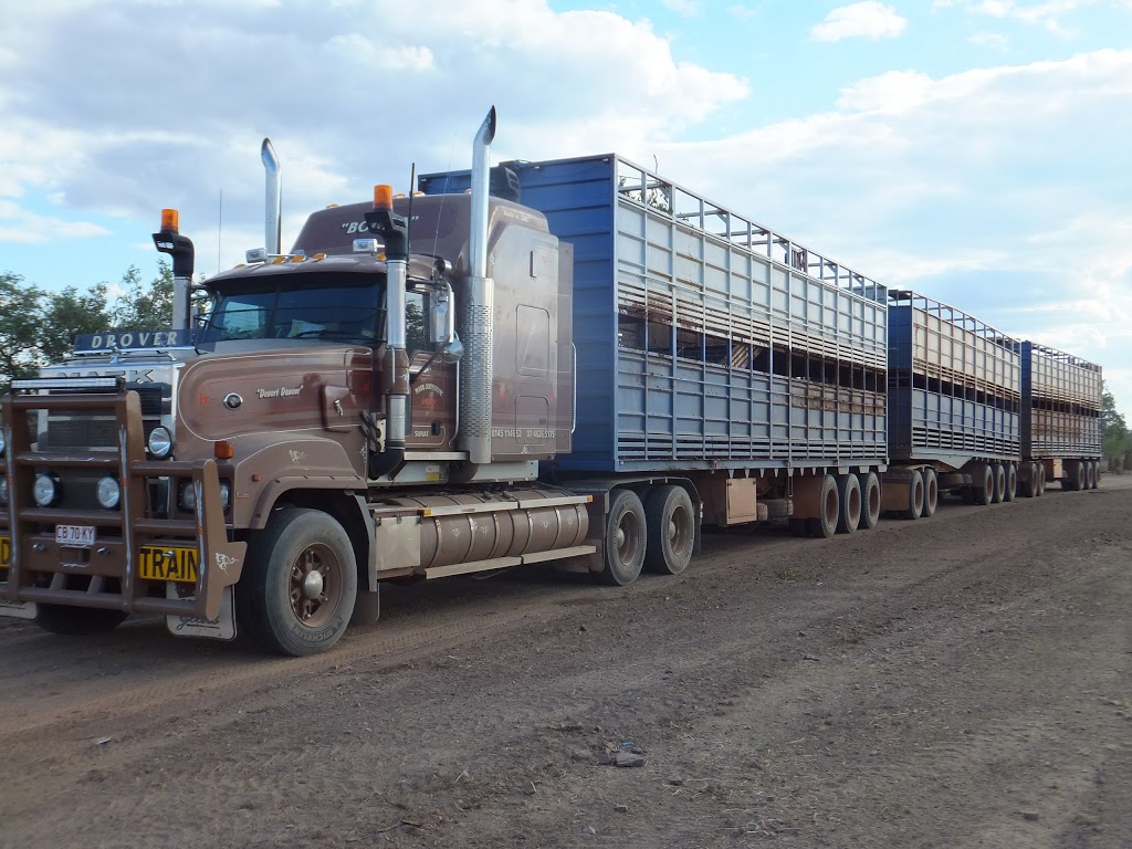 Johnstone M A & M A Livestock | moving company | 27 William St, Surat QLD 4417, Australia | 0746265175 OR +61 7 4626 5175