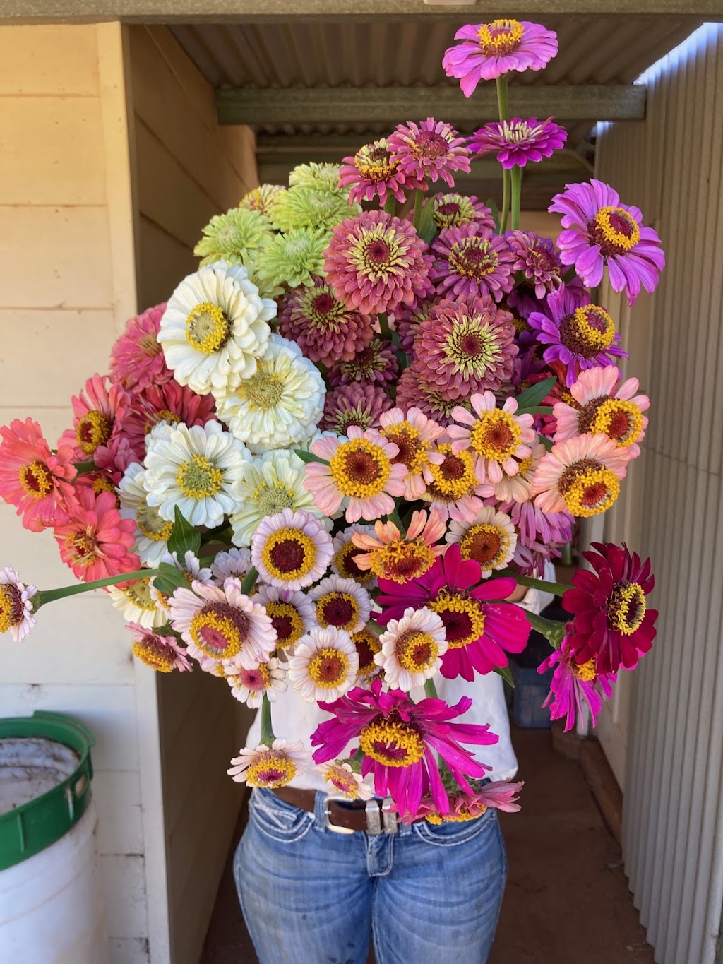 Milroy Meadows Flower Farm | Waterhouse Way, Gunnedah NSW 2380, Australia | Phone: 0437 628 630