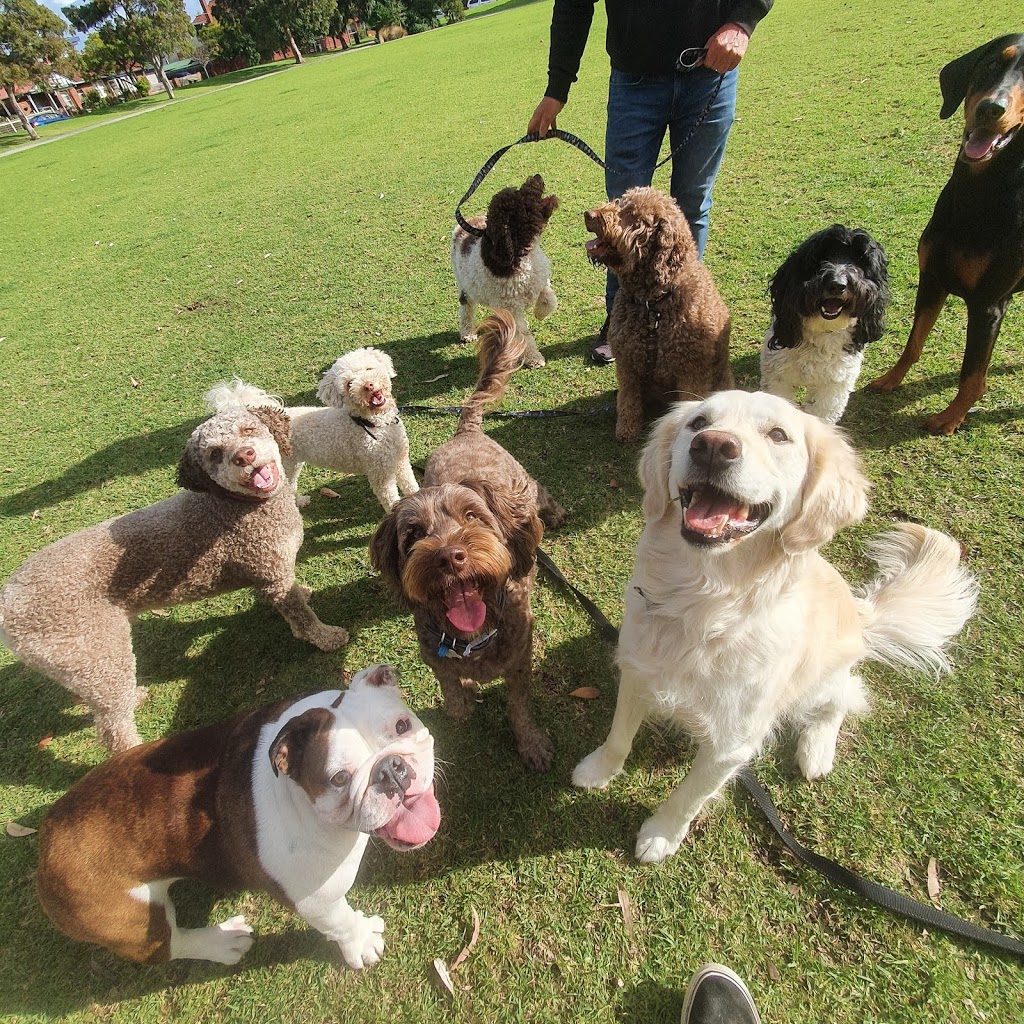 Top Dog Walking |  | Withers St, Albert Park VIC 3206, Australia | 0430961081 OR +61 430 961 081