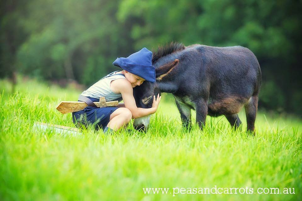 Peas & Carrots Photography | 258 Aitcheson Rd, Kobble Creek QLD 4520, Australia | Phone: 0421 460 591