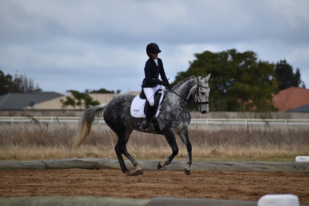 Leeton District Dressage Club | Racecourse Rd, Leeton NSW 2705, Australia | Phone: 0417 419 229