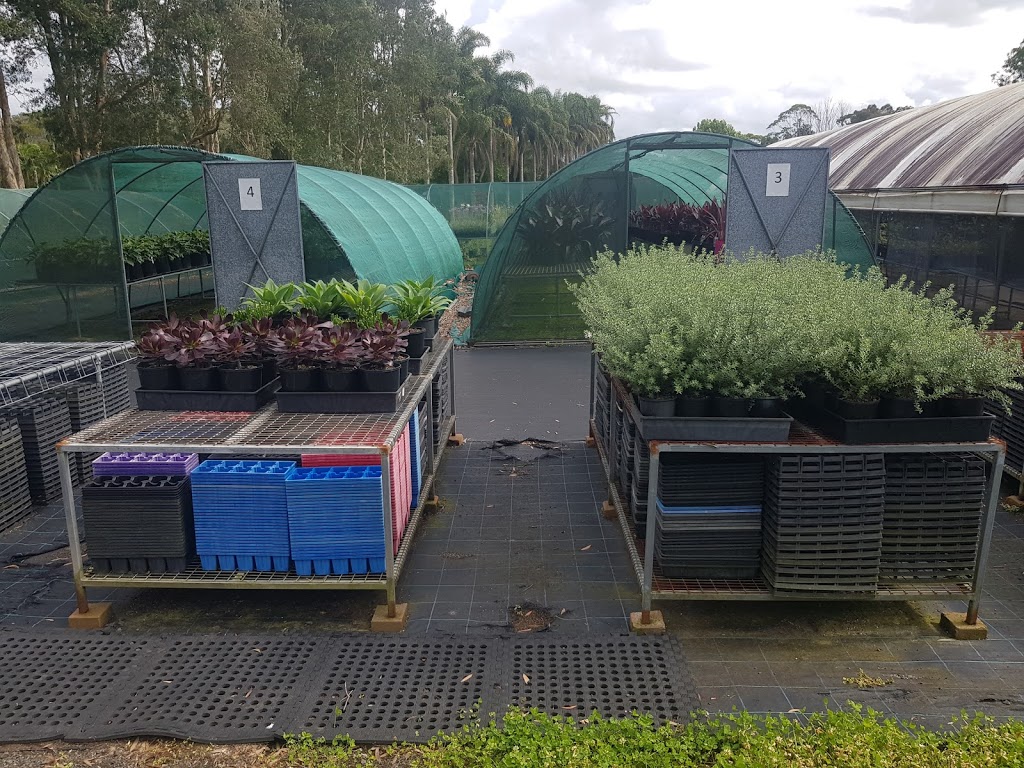 Palmdale Nursery | 36 Bridge St, Ourimbah NSW 2258, Australia | Phone: (02) 4362 1080