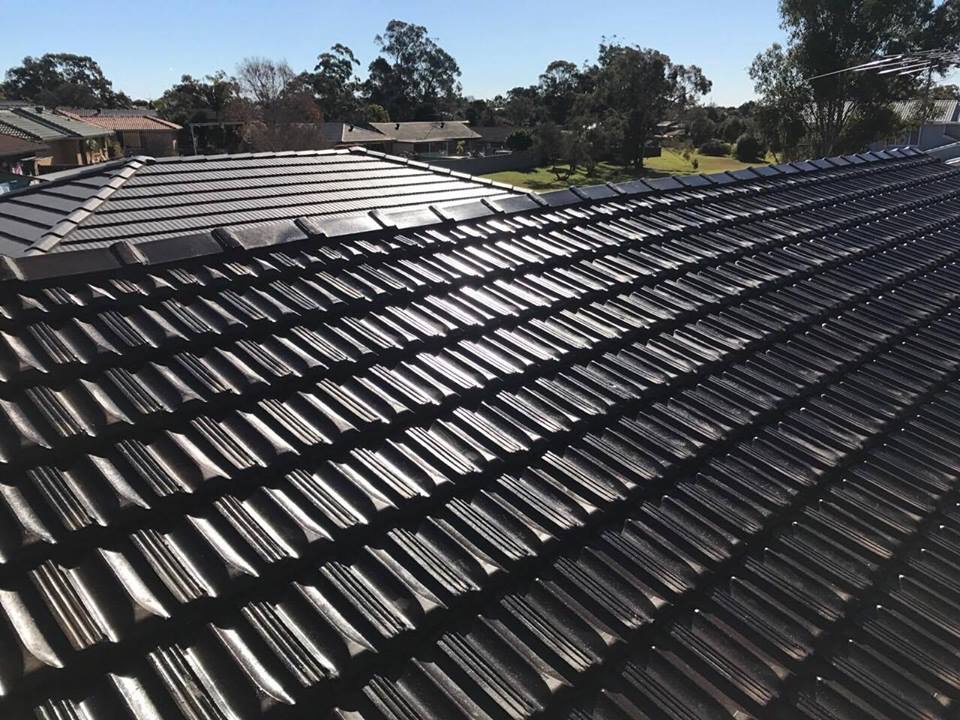 Robbie’s Roof Restore | roofing contractor | 1 Downing St, Carey Park WA 6230, Australia | 0407426913 OR +61 407 426 913