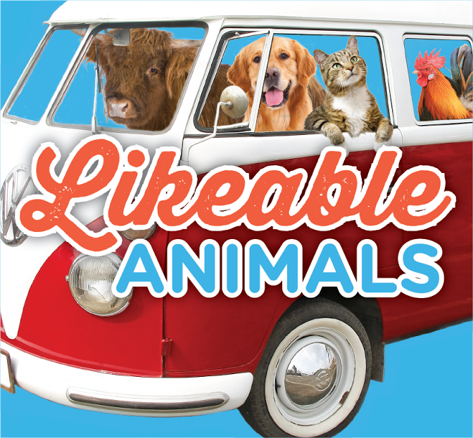 Likeable Animals | store | 11 James St, Rangeville QLD 4350, Australia | 0412584611 OR +61 412 584 611