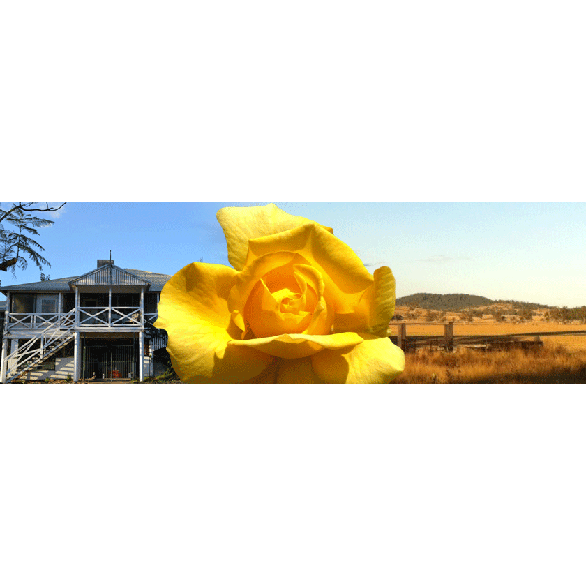 Yellow Rose Guesthouse Texas Qld | lodging | 27 Moore St, Texas QLD 4385, Australia | 0746531592 OR +61 7 4653 1592