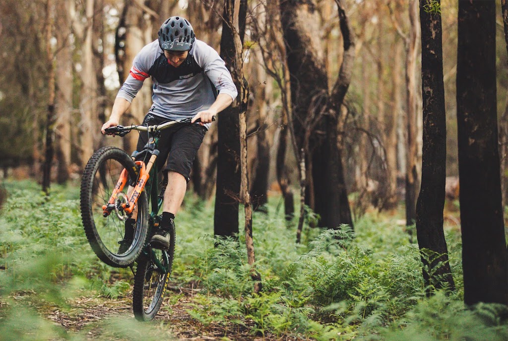 We the Riders | bicycle store | 17 Stanley St, Palmwoods QLD 4555, Australia | 0413158428 OR +61 413 158 428