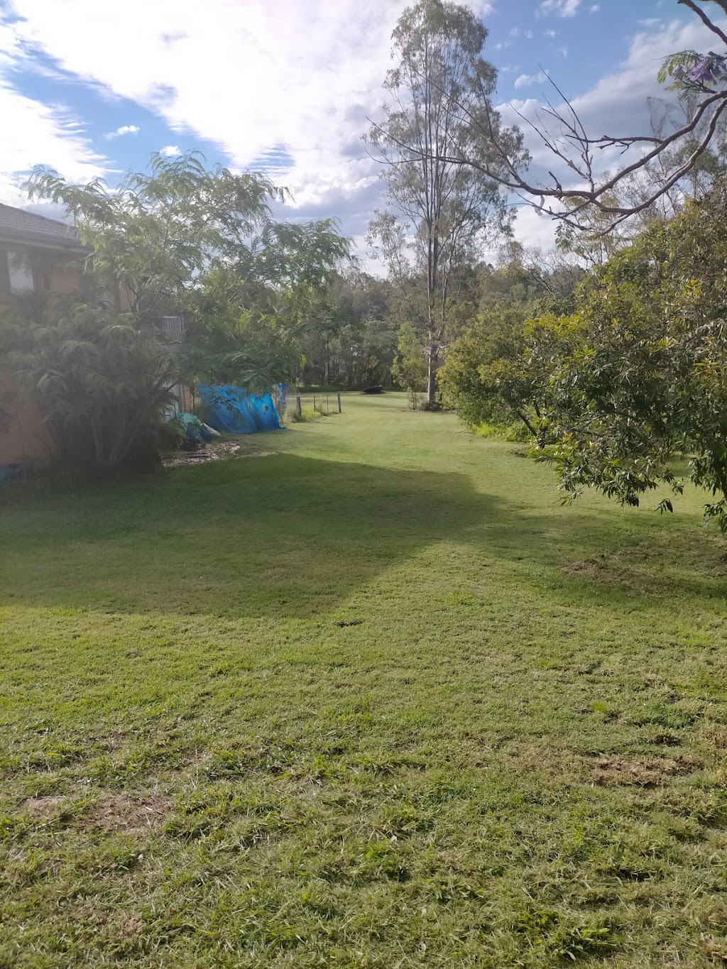 livinglawns and Maintenance | 95 Pradella Rd, Pozieres QLD 4352, Australia | Phone: 0414 697 775