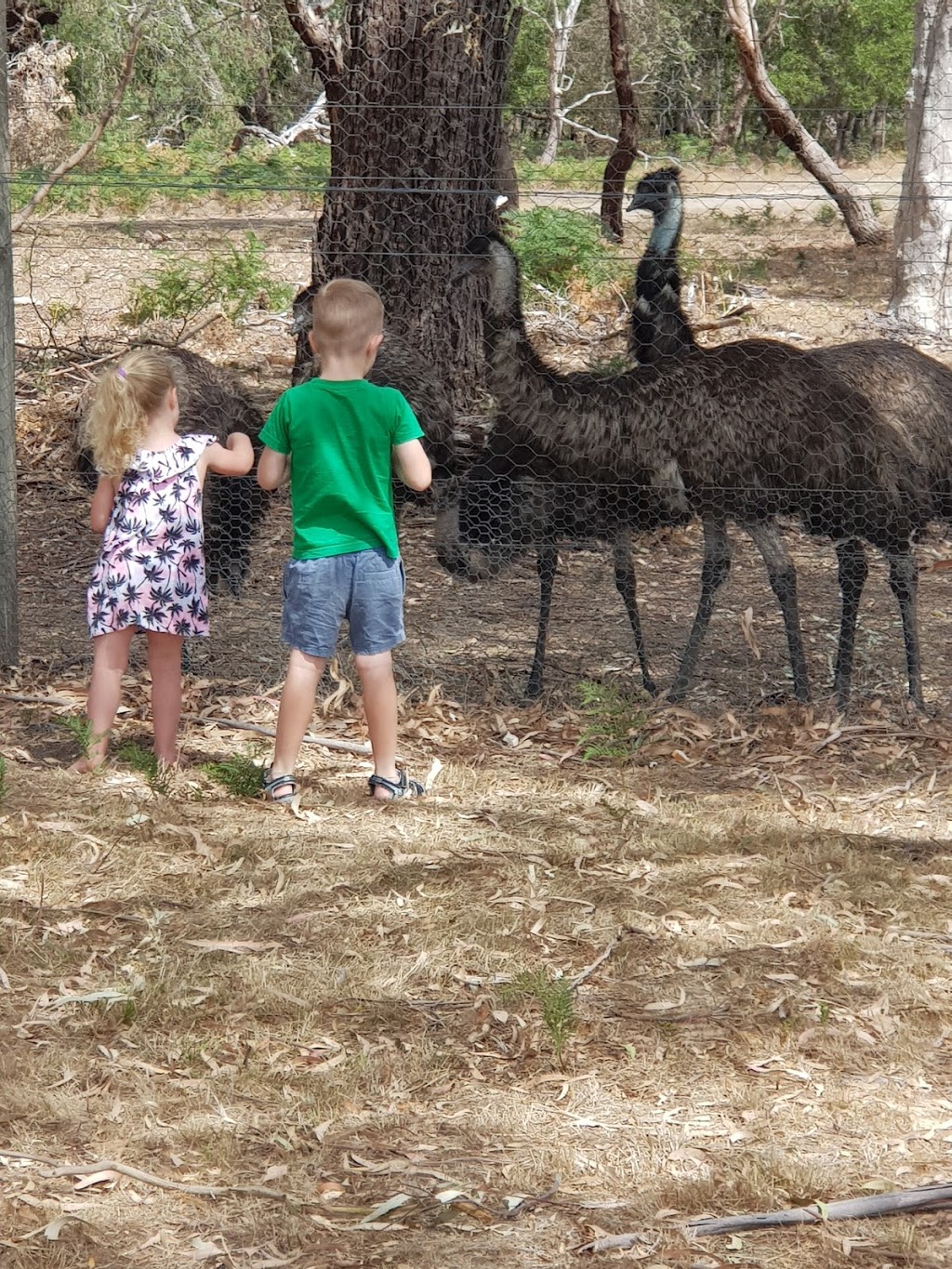 Briars Wildlife Sanctuary | park | Wetland Walk, Mount Martha VIC 3934, Australia