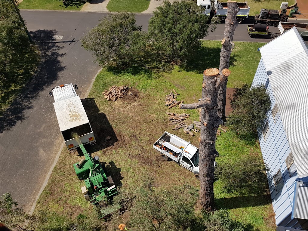 Pro Tree care | John St, Abbey WA 6280, Australia | Phone: 0484 643 150