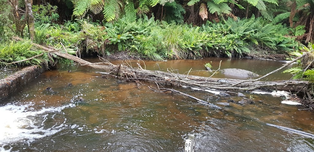 Old Wooden Weir |  | Gentle Annie VIC 3833, Australia | 1800050500 OR +61 1800 050 500