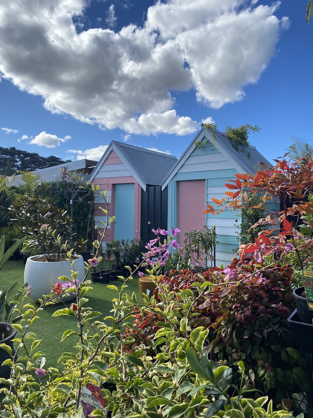 The Beach Willow Nursery & cafe | 1135 Surf Coast Hwy, Mount Duneed VIC 3217, Australia | Phone: 0413 345 574