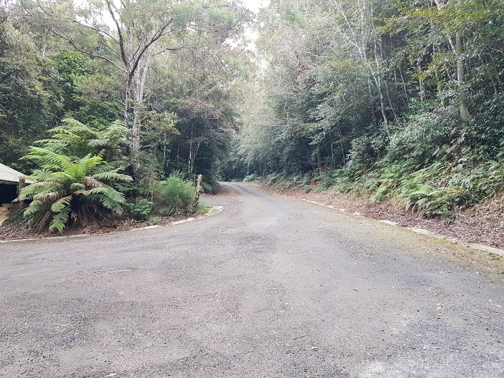 Coombadjha campground | Washpool Walk, Gibraltar Range NSW 2370, Australia | Phone: (02) 6739 0700