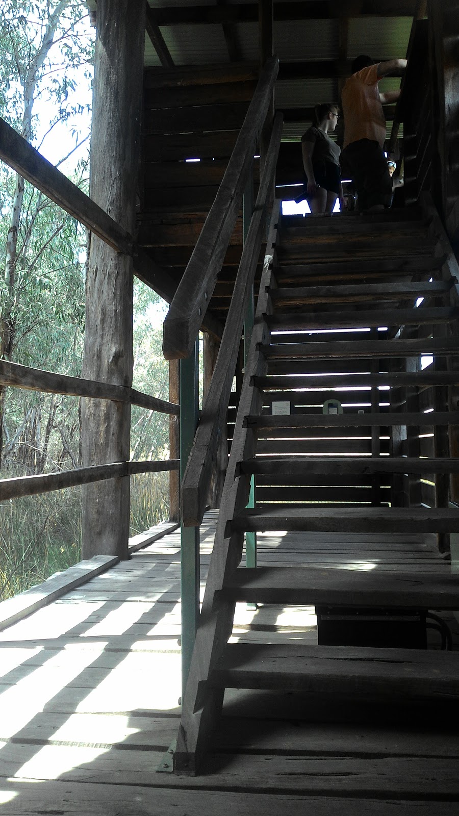 Reed Beds Bird Hide, Murray Valley National Park | Mathoura NSW 2710, Australia